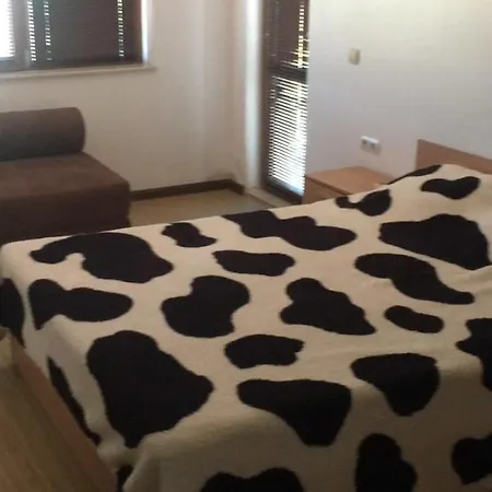 Sp Apartment