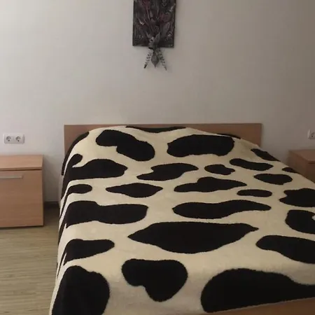 Apartment Sp
